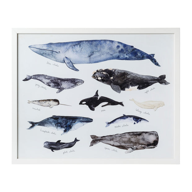 Whale Series III Framed Art