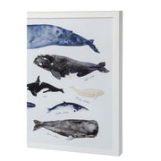 Whale Series III Framed Art