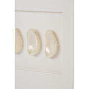 Mini Pearl Abalone Shell Framed Art