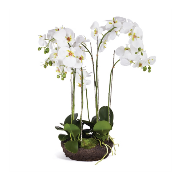 Extra Large Faux White Orchid Drop-In - Cailini Coastal