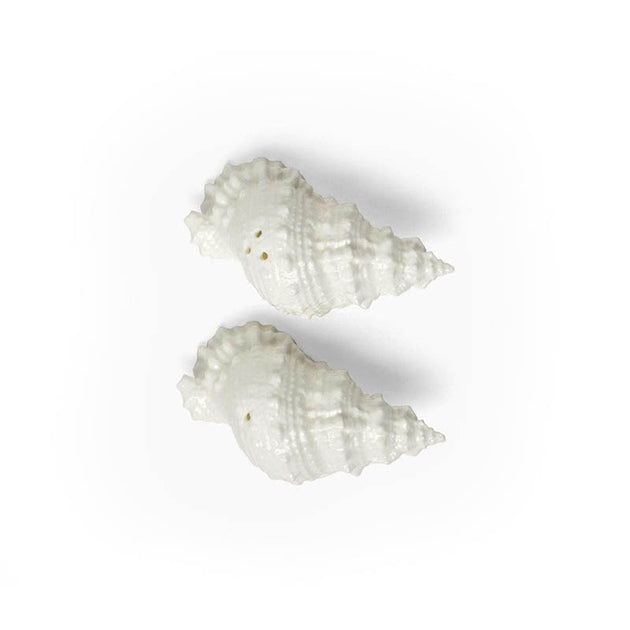 Conch Shell Salt & Pepper Shakers Cailini Coastal