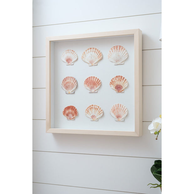 Sea Scallop Framed Art