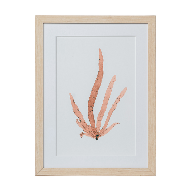 Seaweed Framed Art - Print B