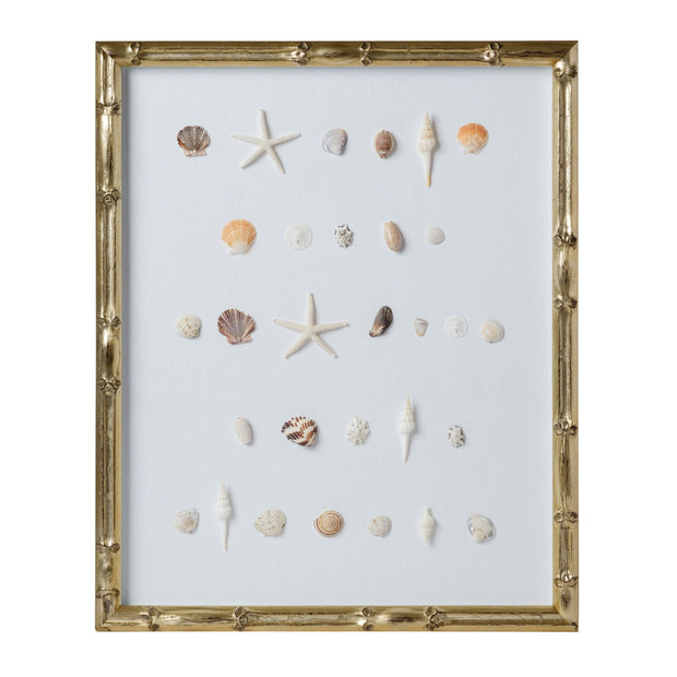 Bespoke Shell Study Art - Champagne Bamboo Frame