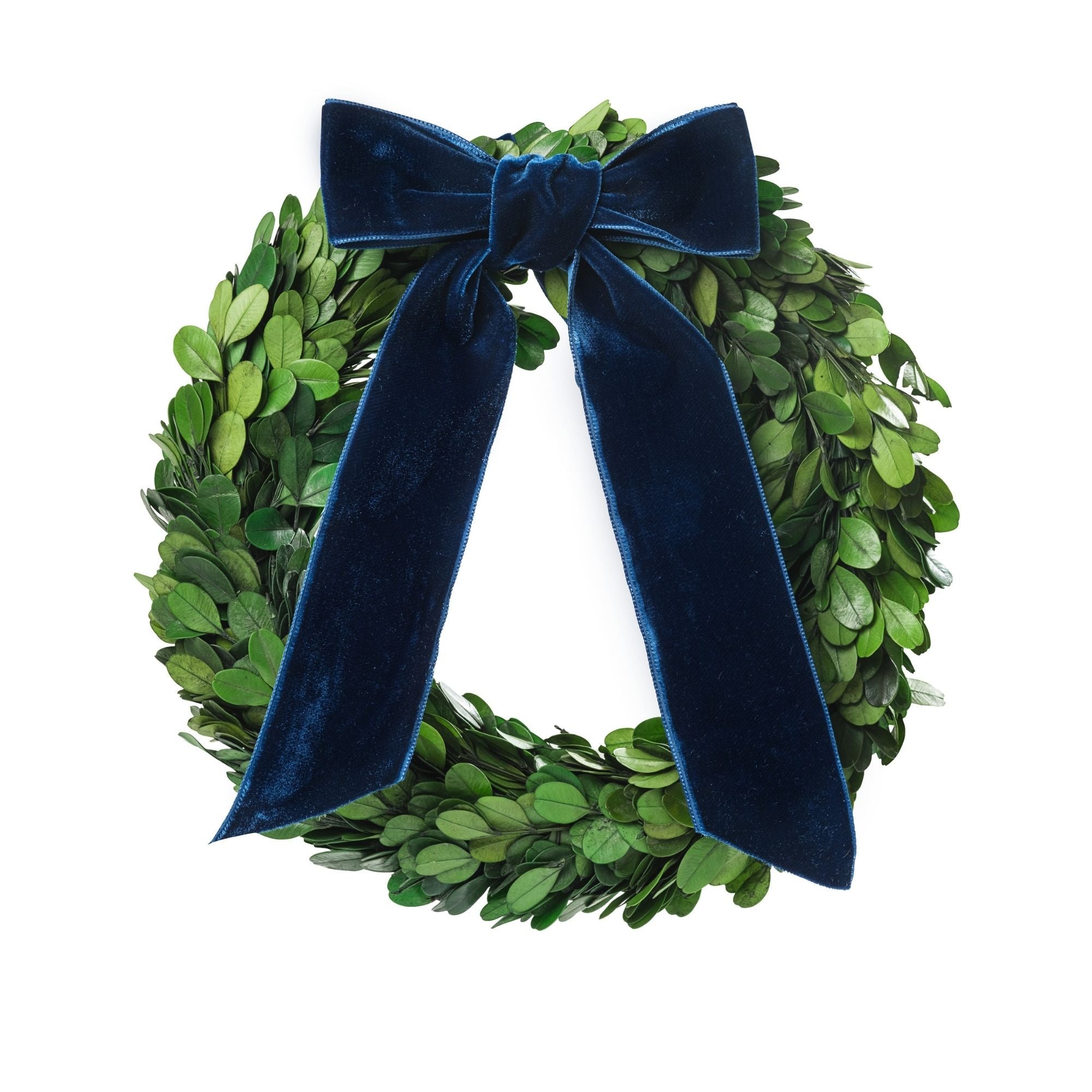 Preserved Boxwood Wreath with Navy Blue Ribbon