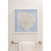 Sea Fan Framed Art - White on Light Blue