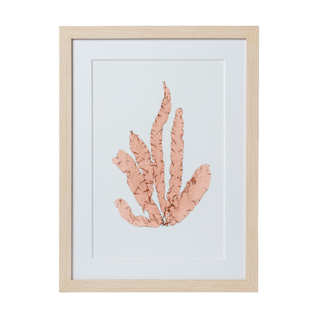 Seaweed Framed Art - Print D