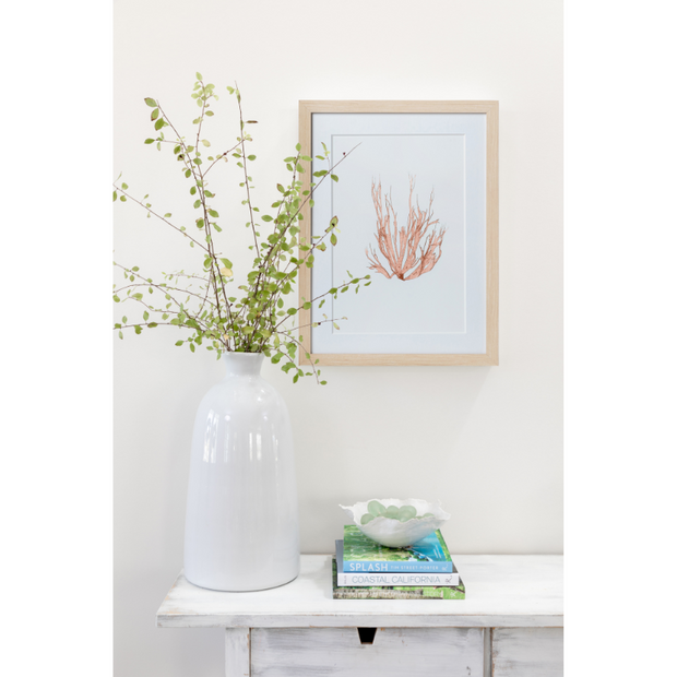 Seaweed Framed Art - Print A