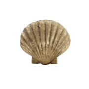 Scallop Shell Taper Holder