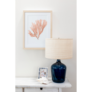 Seaweed Framed Art - Print F