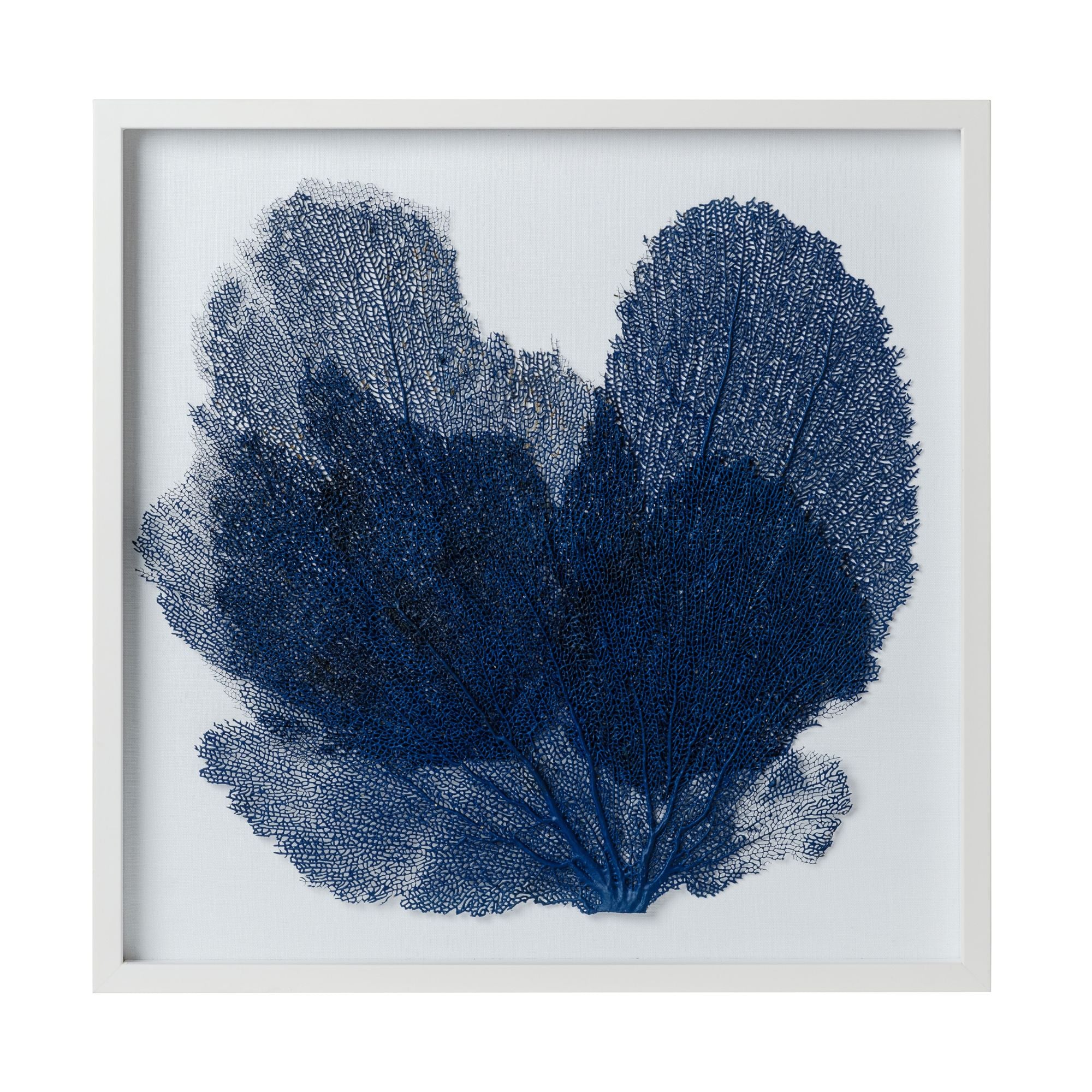 Sea Fan Framed Art - Navy