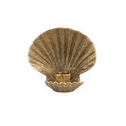 Scallop Shell Taper Holder