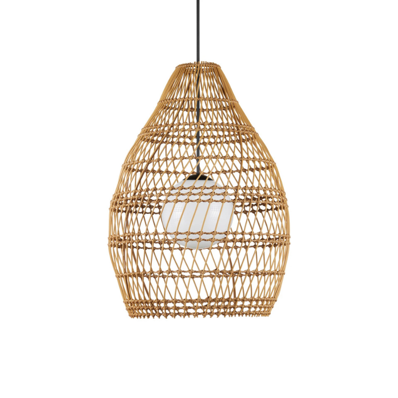 Fishtrap Outdoor Pendant