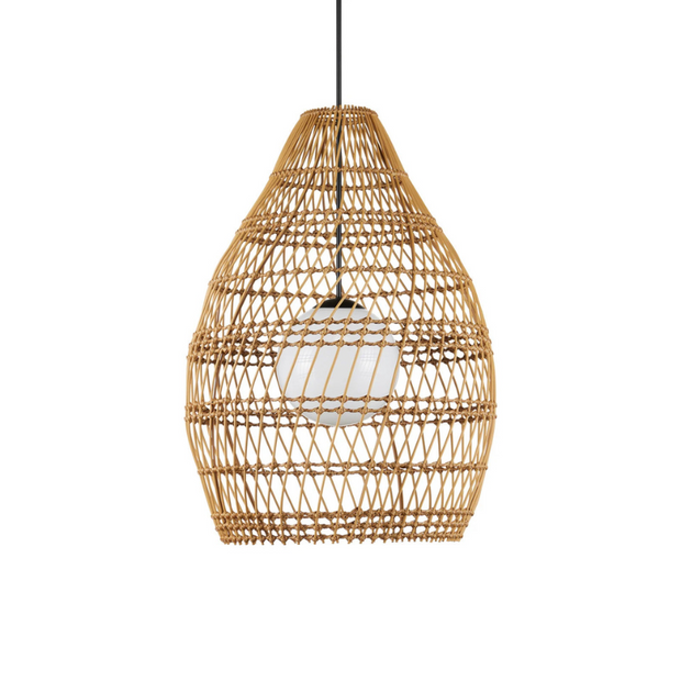 Fishtrap Outdoor Pendant