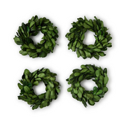 Preserved Boxwood Napkin Rings - Set of 4