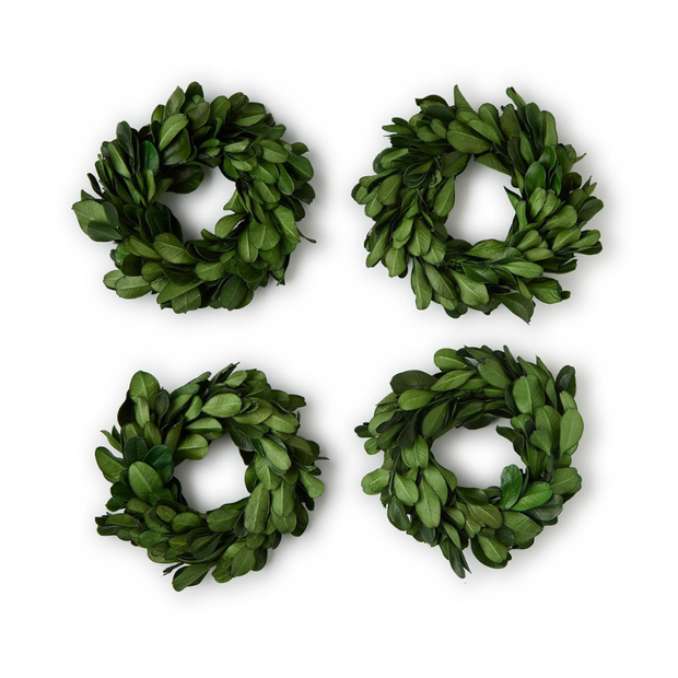Preserved Boxwood Napkin Rings - Set of 4