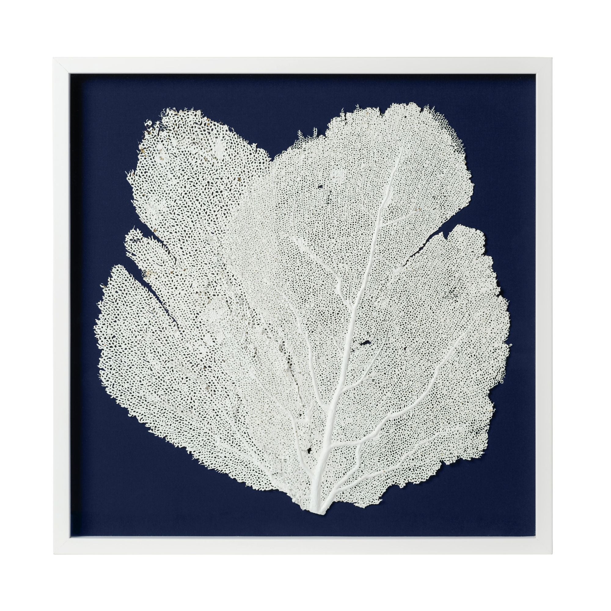 Sea Fan Framed Art - White on Navy