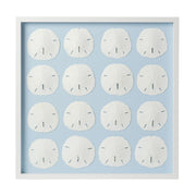 Sand Dollar Framed Art - Light Blue