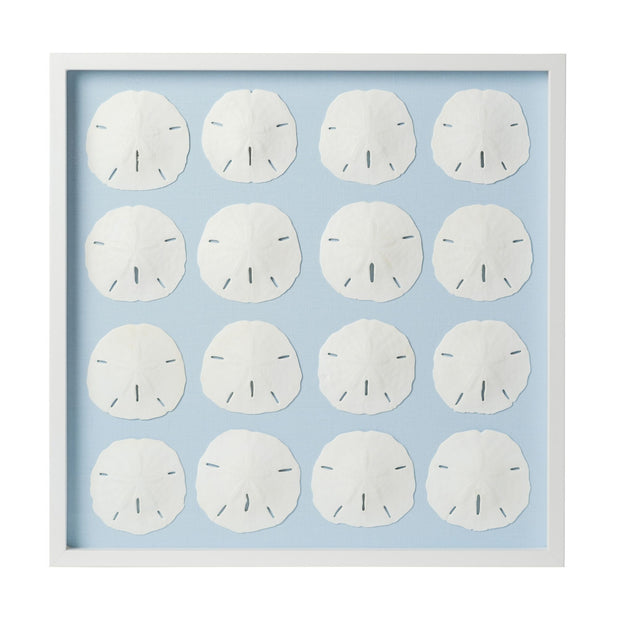 Sand Dollar Framed Art - Light Blue