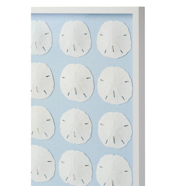 Sand Dollar Framed Art - Light Blue