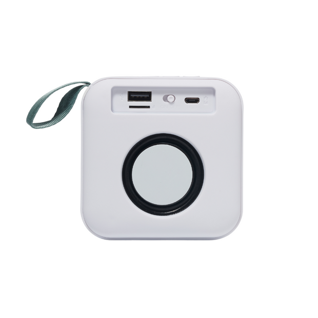 Stripe Portable Travel Speaker