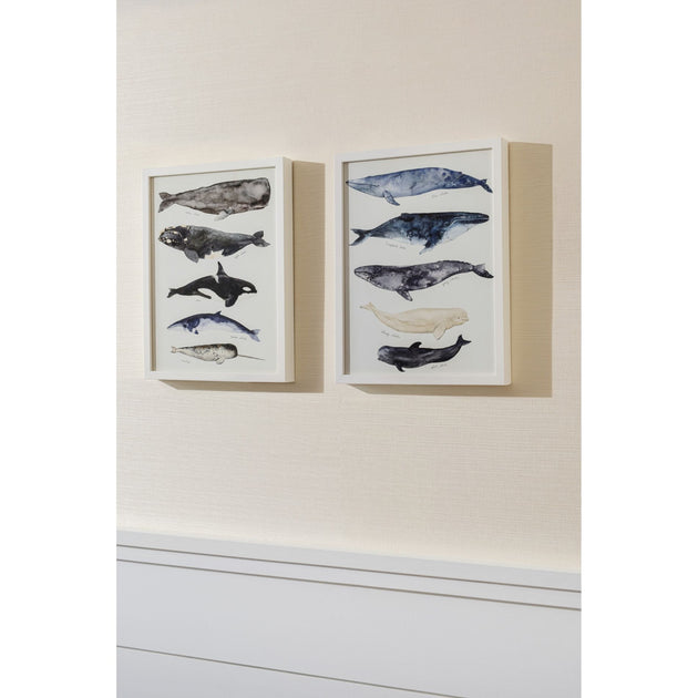 Whale Series I Framed Art – Cailini Coastal