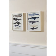 Whale Series I Framed Art
