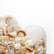 Abaco Shell Mirror