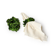 Preserved Boxwood Napkin Rings - Set of 4