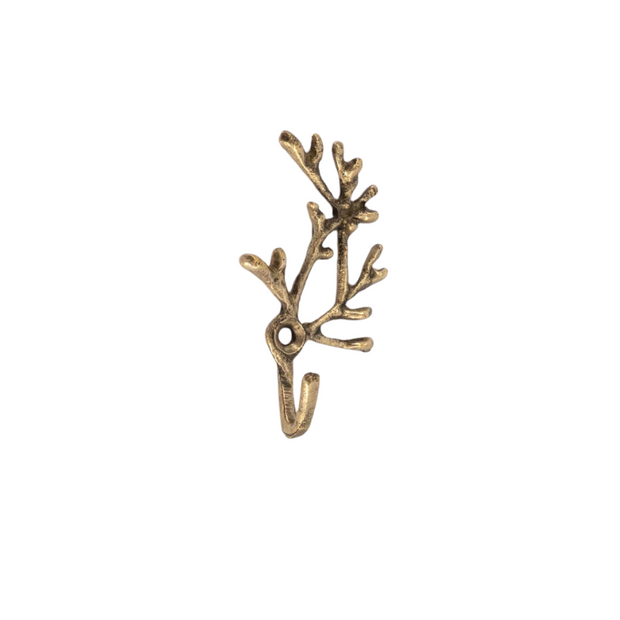 Coral Petite Wall Hook - Set of 2