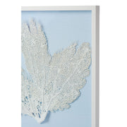 Sea Fan Framed Art - White on Light Blue