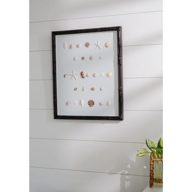 Bespoke Shell Study Art - Walnut Bamboo Frame