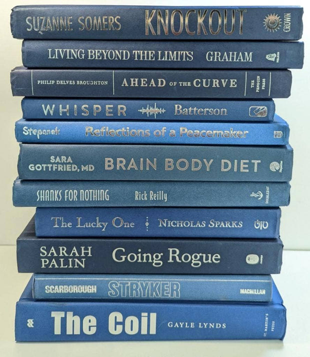 Blue Hued Decorative Book Bundle