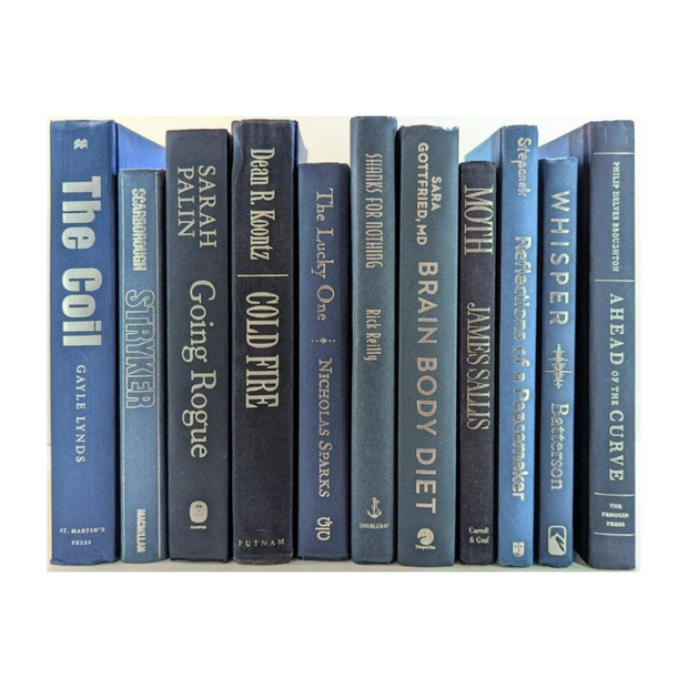 Blue Hued Decorative Book Bundle