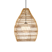 Fishtrap Outdoor Pendant
