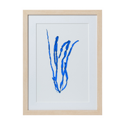 Seaweed Framed Art - Print E