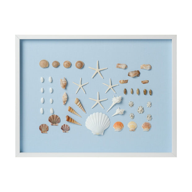 Bespoke Shell Study Framed Art I -  Light Blue