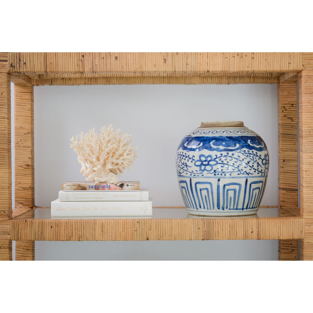 Seashells - Coastal Coffee Table Book – Cailini Coastal