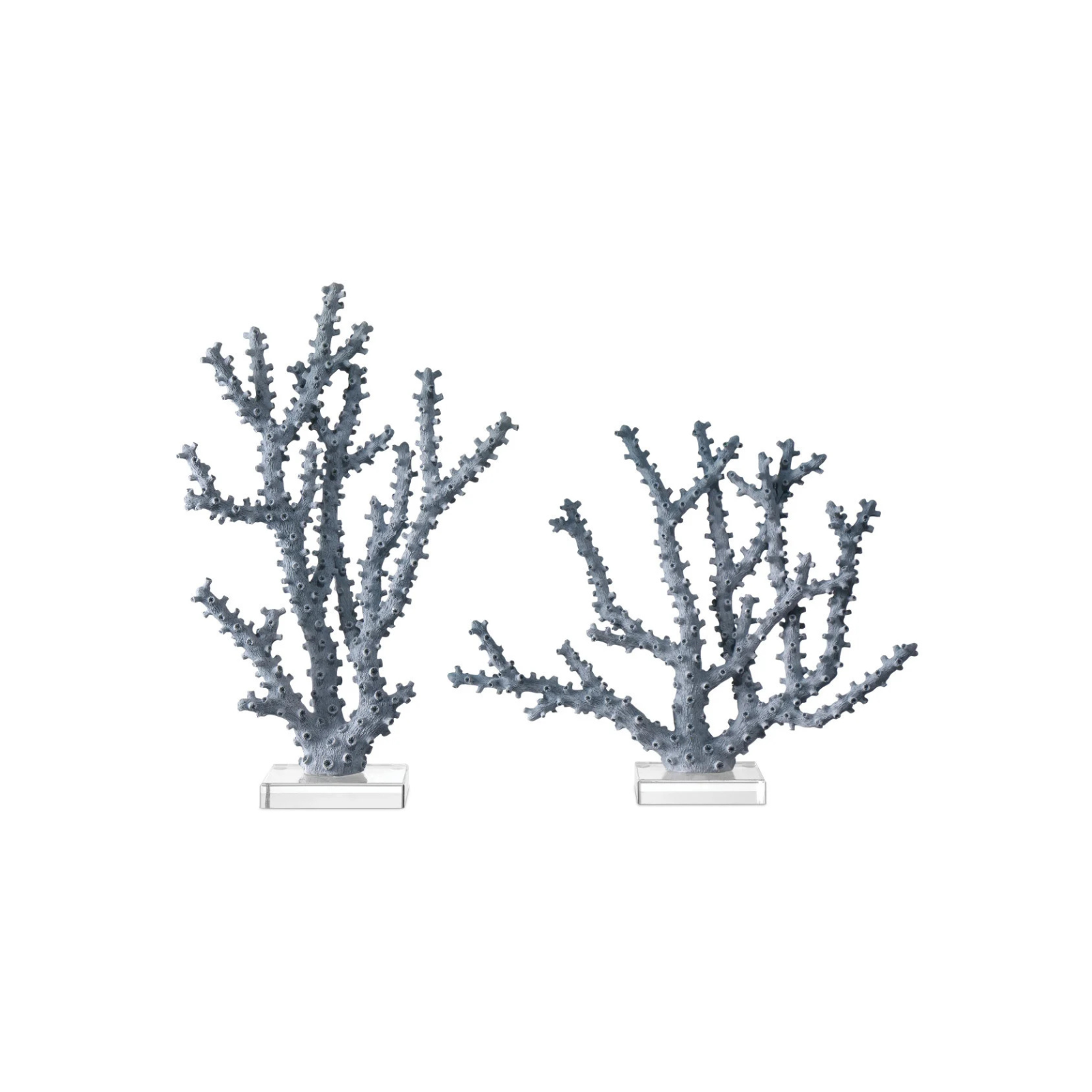 Blue Coral - Set of 2