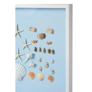 Bespoke Shell Study Framed Art I -  Light Blue