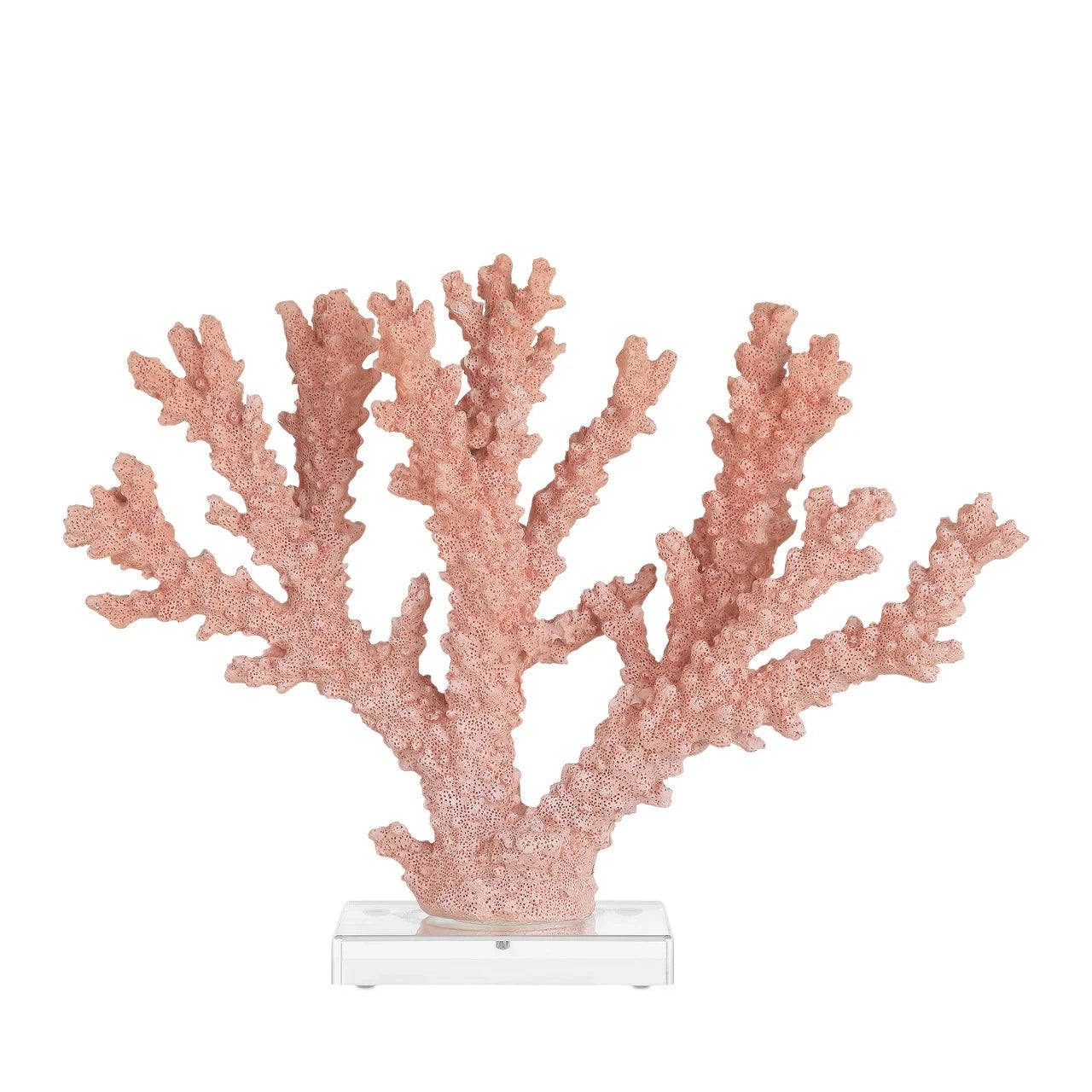 Fire Coral