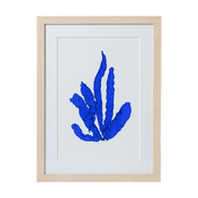 Seaweed Framed Art - Print D