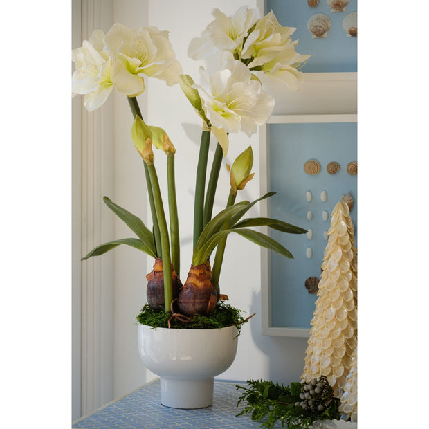 Amaryllis Faux Tall Arrangement