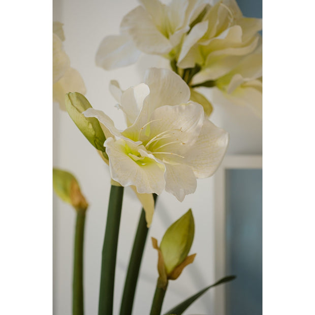 Amaryllis Faux Tall Arrangement