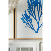 Seaweed Framed Art - Print F