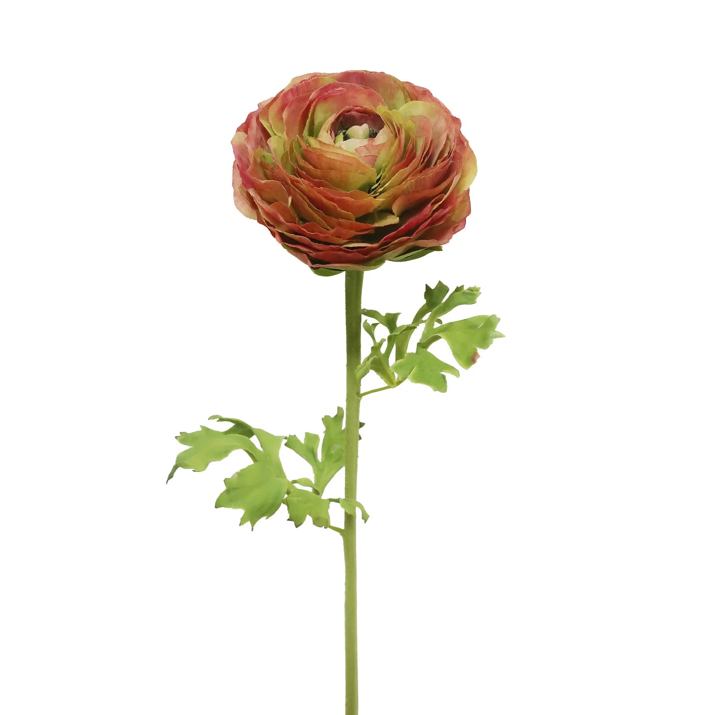 Green & Pink Ranunculus Faux Stem