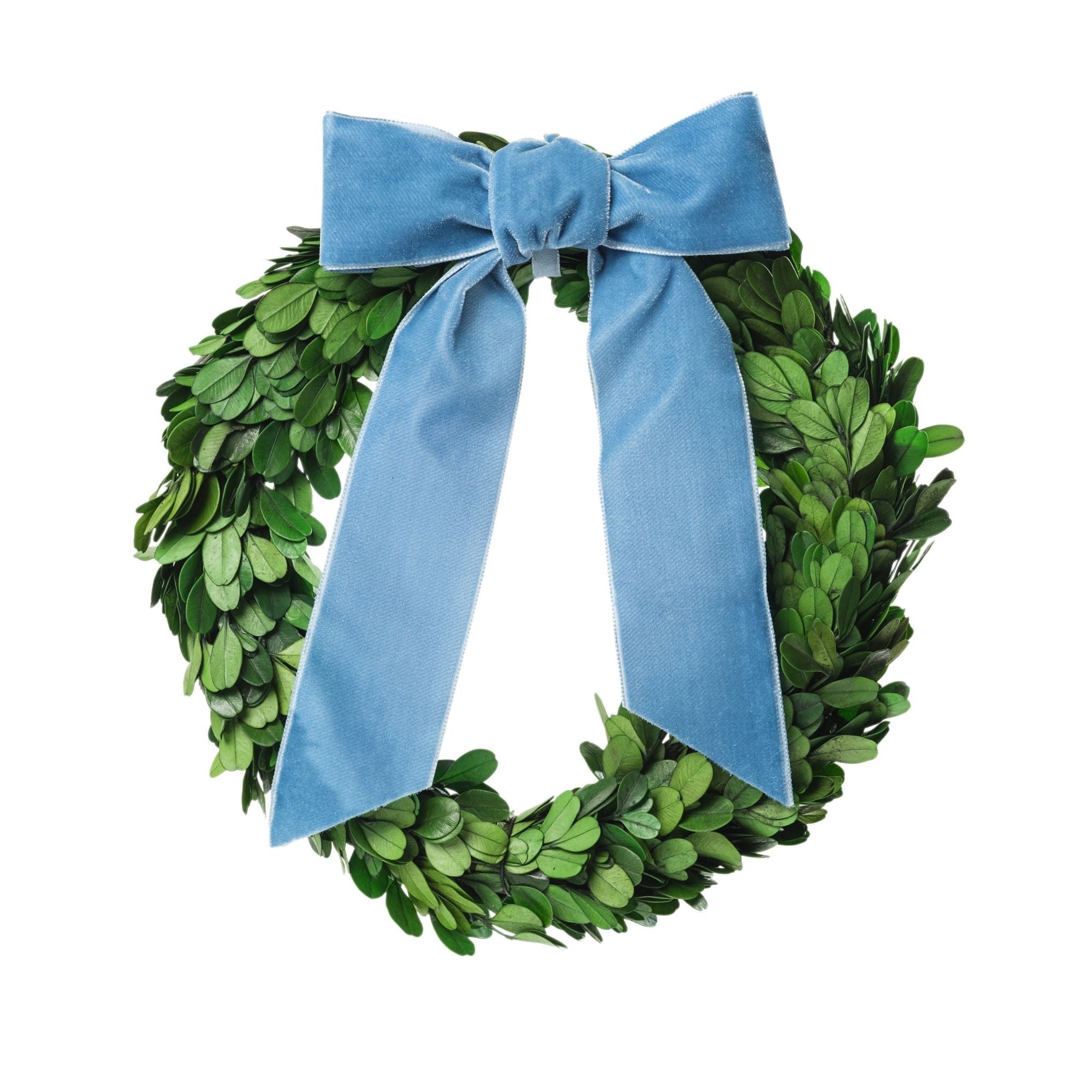 Preserved Boxwood Wreath with Dusty Blue Ribbon