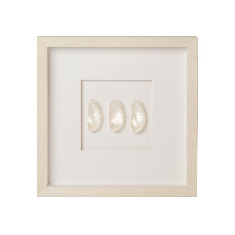 Mini Pearl Abalone Shell Framed Art