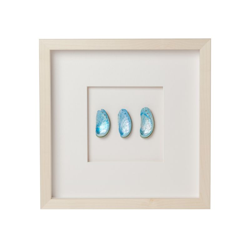 Mini Jade Abalone Shell Framed Art