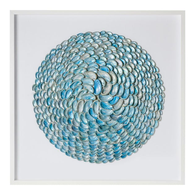 Jade Abalone Shell Ripple Framed Art - Cailini Coastal